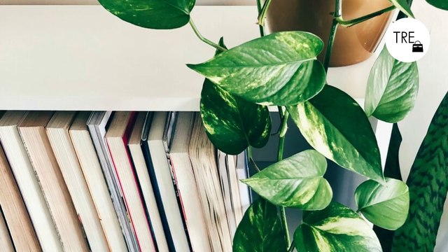 Ocho libros imprescindibles que llegan a las librerías en junio de 2024 para llevarse a la playa y leer en la piscina