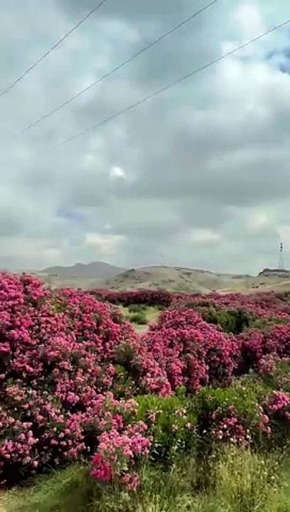 Morocco