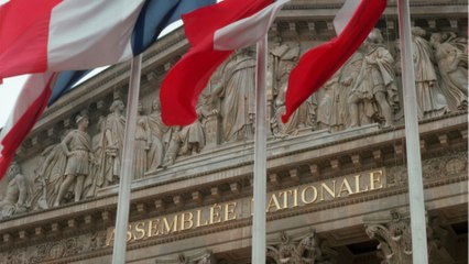 Élections législatives : fonctionnement, vote et date