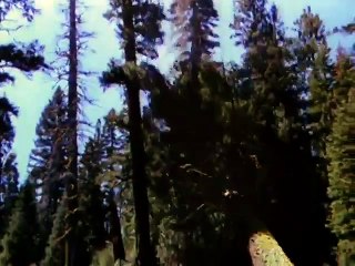 When Things Were Rotten - Episode 8- There Goes the Neighborhood