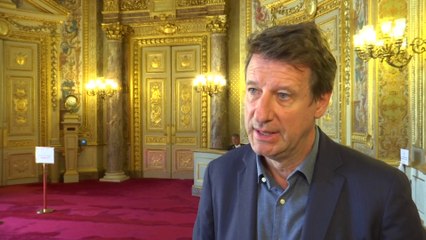 Dissolution de l'Assemblée : Jadot appelle à un "front populaire écologiste" pour les législatives