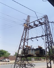 आज यहां सुबह छह बजे से 11 बजे तक बिजली रहेगी गुल