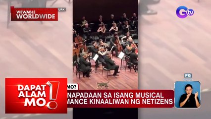 Pusa, napadaan sa isang musical performance | Dapat Alam Mo!