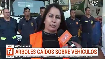 EMERGENCIA POR FUERTES VIENTOS