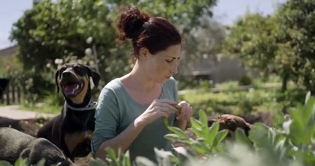 'Sorda'- Tráiler oficial