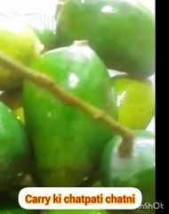 June-10-2024-carry-ki-chatni-chatpati-ch_127June 10, 2024#carry ki chatni chatpati # chutney ️ #carry  Ki#  Chatthi#recipe
