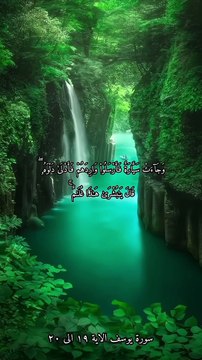 سورة يوسف بصوت الشيخ ياسر الدوسري الاية ١٩ الى ٢٠