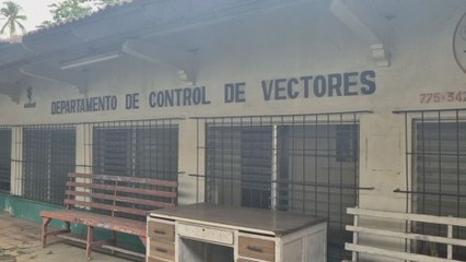 Preocupación en Chiriquí por aumento de casos de dengue, van 500 afectados