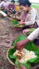 Myanmar Farmers having meal in the field