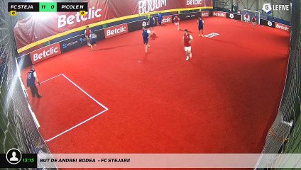 But de ANDREI	 BODEA  - FC STEJARII