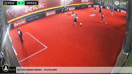 But de ANDREI	 BODEA  - FC STEJARII