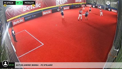 But de ANDREI	 BODEA  - FC STEJARII