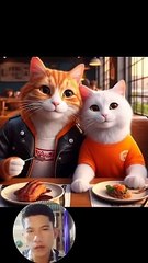 poor cat + broken hearts  #cute #cat