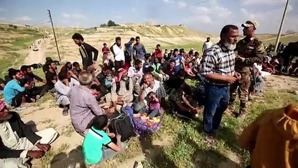 2023 fue el año con más conflictos armados en el mundo desde 1946, según estudio