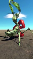 Titanoboa vs Mantis Fight 3D