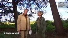 Springwatch 2024 episode 9