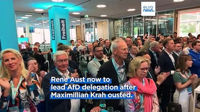 Germany's far-right AfD appoints new European Parliament delegation leader
