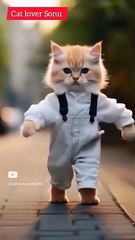 Cute Cat dance |cute kitten dance|funny dance