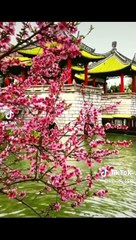 Beautiful China   Park view