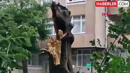 Diyarbakır'da Kuvvetli Rüzgarın Etkisi: Ağaç Devrildi, Reklam Tabelaları Eğildi