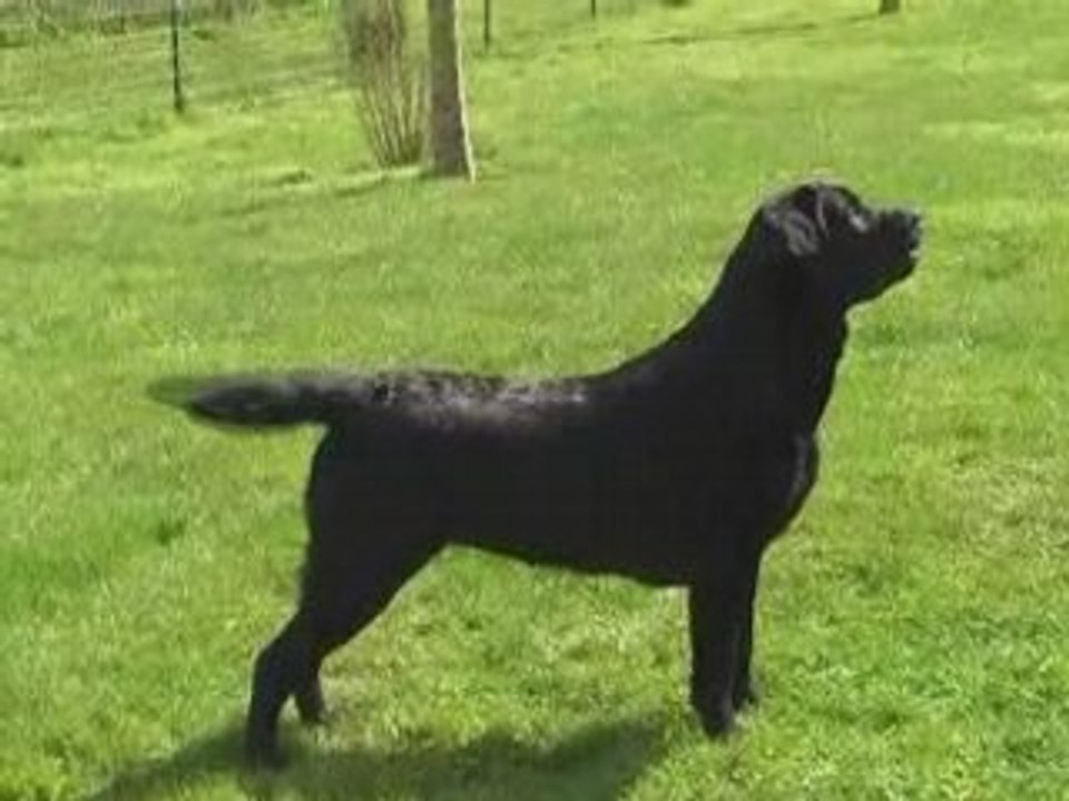 Bloody mary de la Tour Farmina