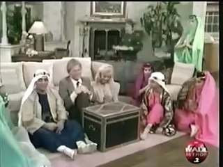 Small Wonder The Sheik