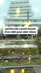 Les #femmes sont #jalouses parce qu'elles ont #peur de se faire remplacer