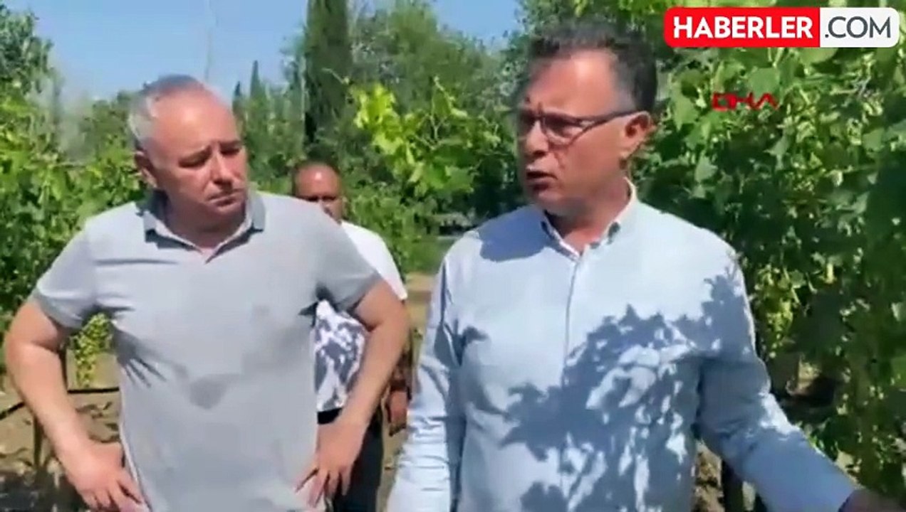 Alaşehir'de Fırtına ve Dolu Zararı: 20 Bin Dekar Üzüm Bağı Hasar Gördü