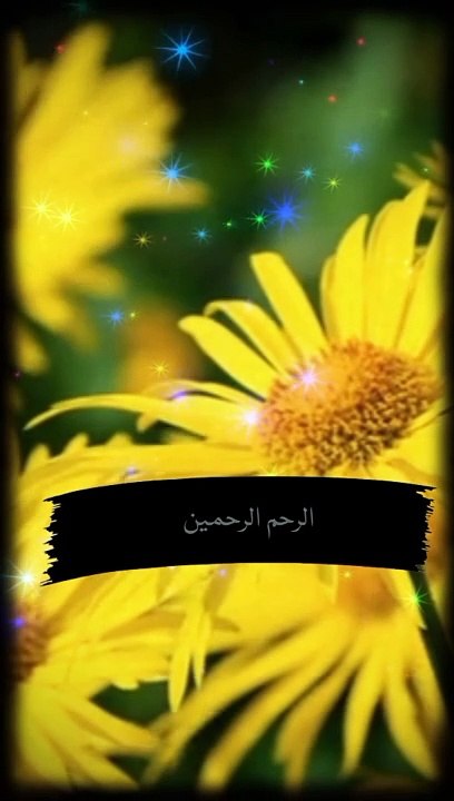Islamic video | beautiful short | Islamic shorts|