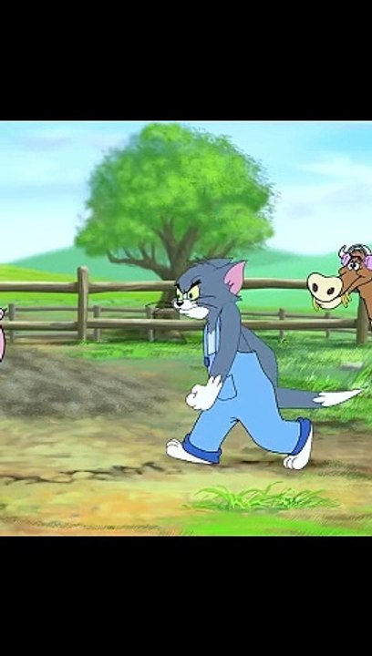 tom and jerry