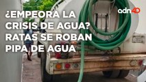 ¿Empeora la crisis de agua? Ratas se roban pipa de agua | Cotorreando la Noticia