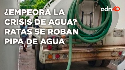 ¿Empeora la crisis de agua? Ratas se roban pipa de agua | Cotorreando la Noticia