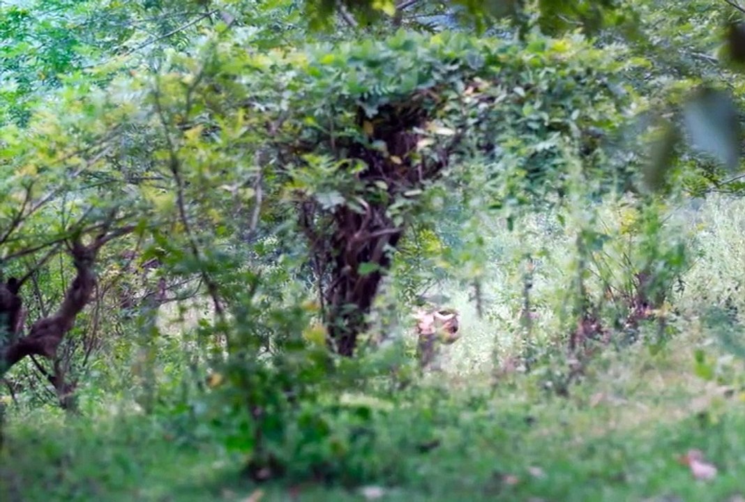 May, die dritte Frau (2019) stream deutsch anschauen