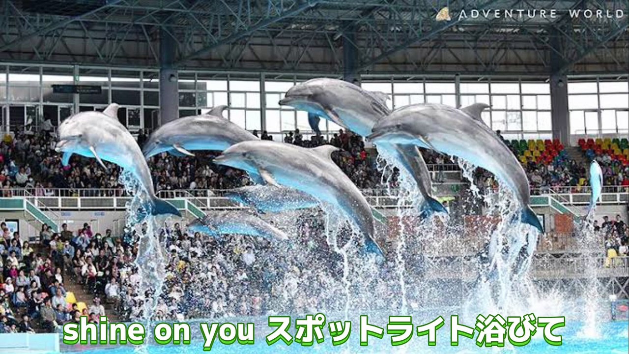 アドベンチャーワールドテーマソング集（歌詞付き）