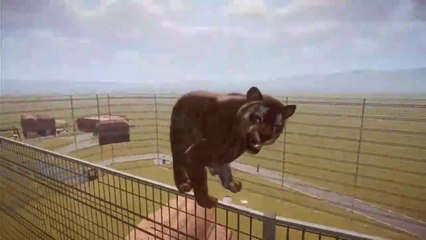 Planet Zoo PC - Tiger Climb over the fence is escaped