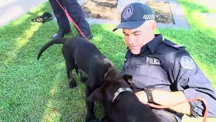 NT Police welcome its newest recruits