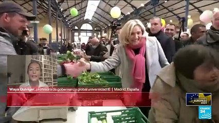 Waya Quiviger: 'La decisión de disolver la Asamblea Nacional francesa es muy arriesgada'