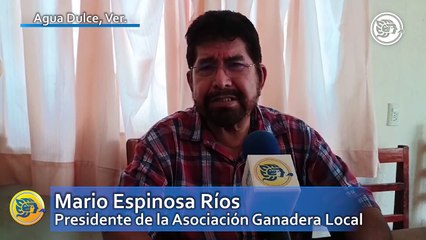 Crisis en sector ganadero; más de cien productores abandonan la actividad pecuaria