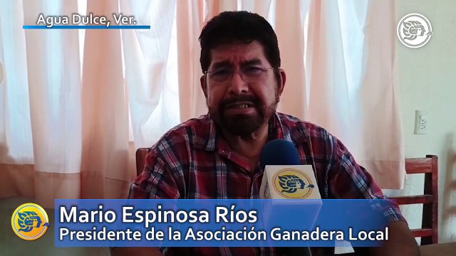 Crisis en sector ganadero; más de cien productores abandonan la actividad pecuaria