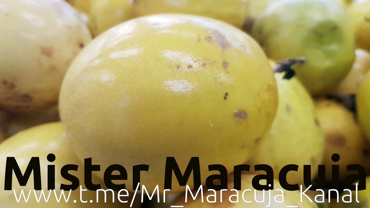 (284) Diebstahl in SURINAME - LATINO_Tour 12b mit Roman Topp | Tipps für AUSWANDERER & Reisende