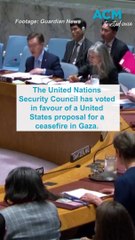 UN Security Council adopts Gaza ceasefire resolution