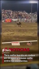Durante un rodeo en #Oregon, EE. UU. un toro saltó la protección que lo dividía con los espectadores