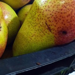 -ANDRÉS DE JESÚS VÉLEZ FRANCO- ¡DAMSEL, GODZILLA Y KONG, CAZAFANTASMAS, Y MÁS! (PARTE 2) (@AndresdeJesus90)