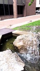 UW–Madison Geology Museum Madison, WI 2024