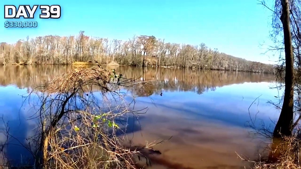 Survive in the Wilderness and Win $10,000 Daily!  MrBeast Hindi Challenge! @MrBeast