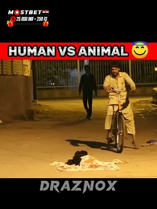 Human vs animal