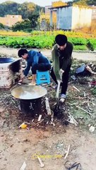 funny video comedy video popular fact shortsvideo reels viral viral
