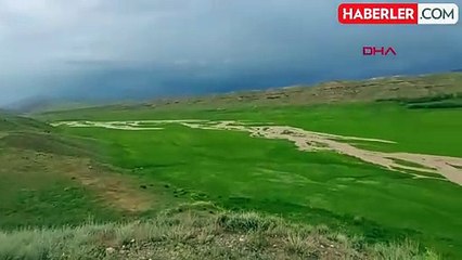 Van'da Sağanak Sele Neden Oldu; 52 Hayvan Öldü, 10 Ev İle Ahır Hasar Gördü