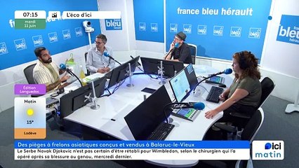 Easy Trap, un piège contre les frelons asiatiques inventé à Balaruc-le-Vieux