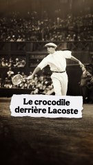 Le crocodile derrière Lacoste